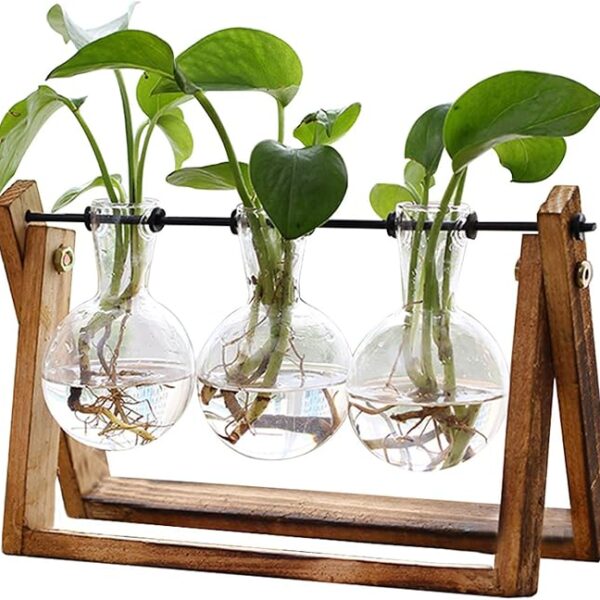 Plant Terrarium with Wooden Stand, 3-Bulb Glass Air Planter, Metal Swivel Holder, Retro Tabletop Vase for Hydroponics, Home, Garden, and Office Decoration